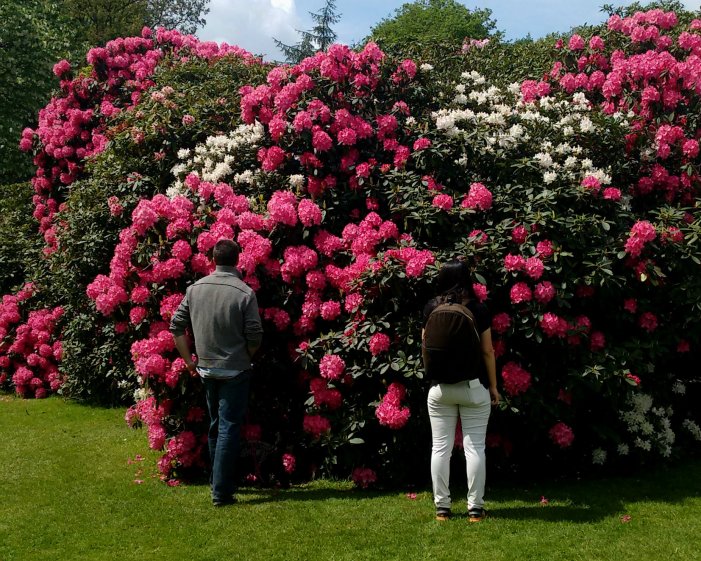 blog IMG_20160516_130310906