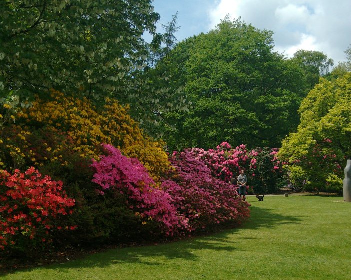 blog IMG_20160516_130408991