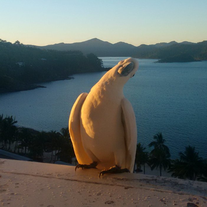 blog IMG_20160610_171647415