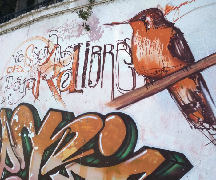 blog IMG_20170107_123559